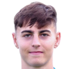 Jandrisevits