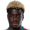 Bukusu