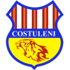 Costuleni