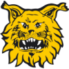 Ilves 2 Nữ
