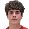Arakelyan A.