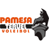 Voleibol Teruel *