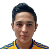 Cerna