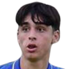 Mulattieri