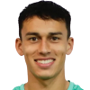 Guajardo