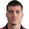 Vogel