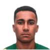 Bruninho