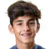 Anicic