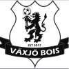 Vaxjo BoIS (Swe)