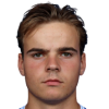 van Hedel