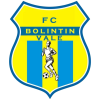 Bolintin Vale *