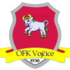 Vojcice *