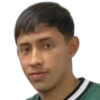 Salinas