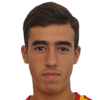 Vujanovic