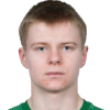 Ilves