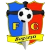 Bogzesti *