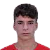 Cabrajic