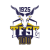 TFSE Budapest