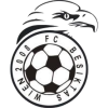Besiktas Wien (Aut)