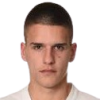 Stjepanovic