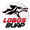Lobos BUAP Nữ