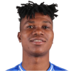Opara