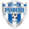 Viitorul Tg. Jiu