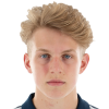 Colyn