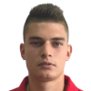 Vukcevic