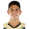 Vargas