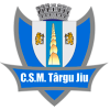 CSM Targu Jiu