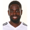 Dyer