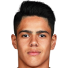 Ribeiro