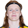 van der Laan