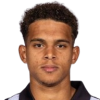 Borges Rodrigues