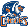 Bakersfield Condors