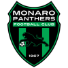 Monaro Panthers