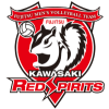 Fujitsu Kawasaki Red Spirit