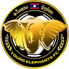 Young Elephant Nữ (Lao)