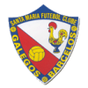 Santa Maria FC *