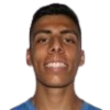 Carvalho