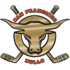 San Francisco Bulls