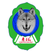 Qinghai U19