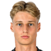 Milojevic