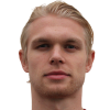 Tornblad