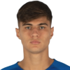 Guarino