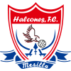 Halcones