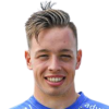 Schelfhout