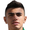 Alfaluji