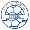 Alisontia Steinsel *